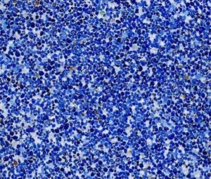 bahia mod acuatica small.jpg