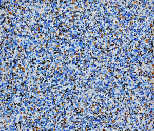 bravo en seco acuatica.jpg