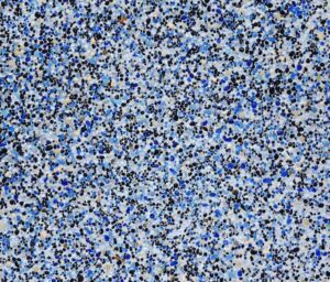 cabo en seco acuaticas.jpg