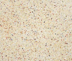 cedros en seco biosferas.jpg