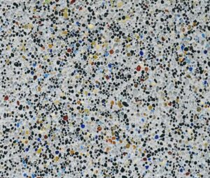 guerrero negro mod acuatica small.jpg