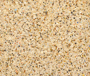 loreto en seco biosfera 1.jpg