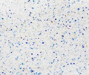 magdalena en seco acuaticas.jpg