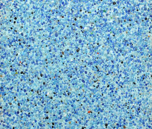 majahua en seco acuatica.jpg