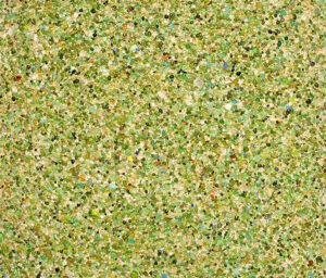 mangle en seco biosfera.jpg