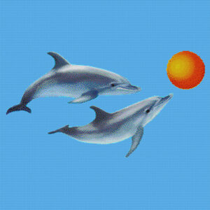 pdecor dolphins l1.jpg