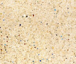 vizcaino mod biosfera small.jpg